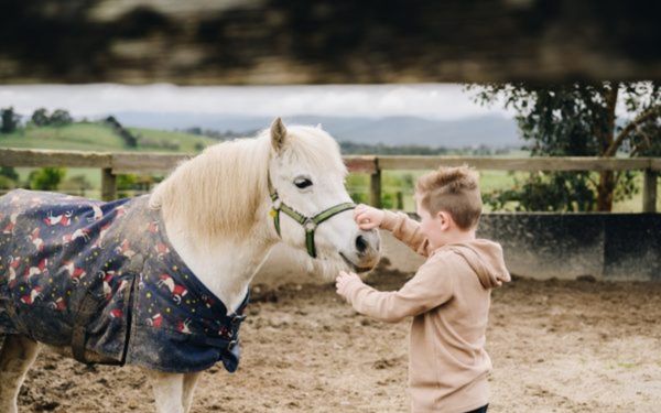 The Calming Effect of our Pet Pendants
