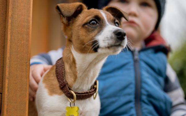 Introducing our Pet Pendants