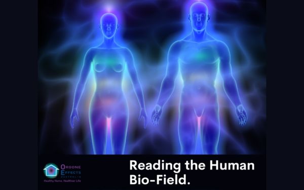 Reading the Human Bio-field