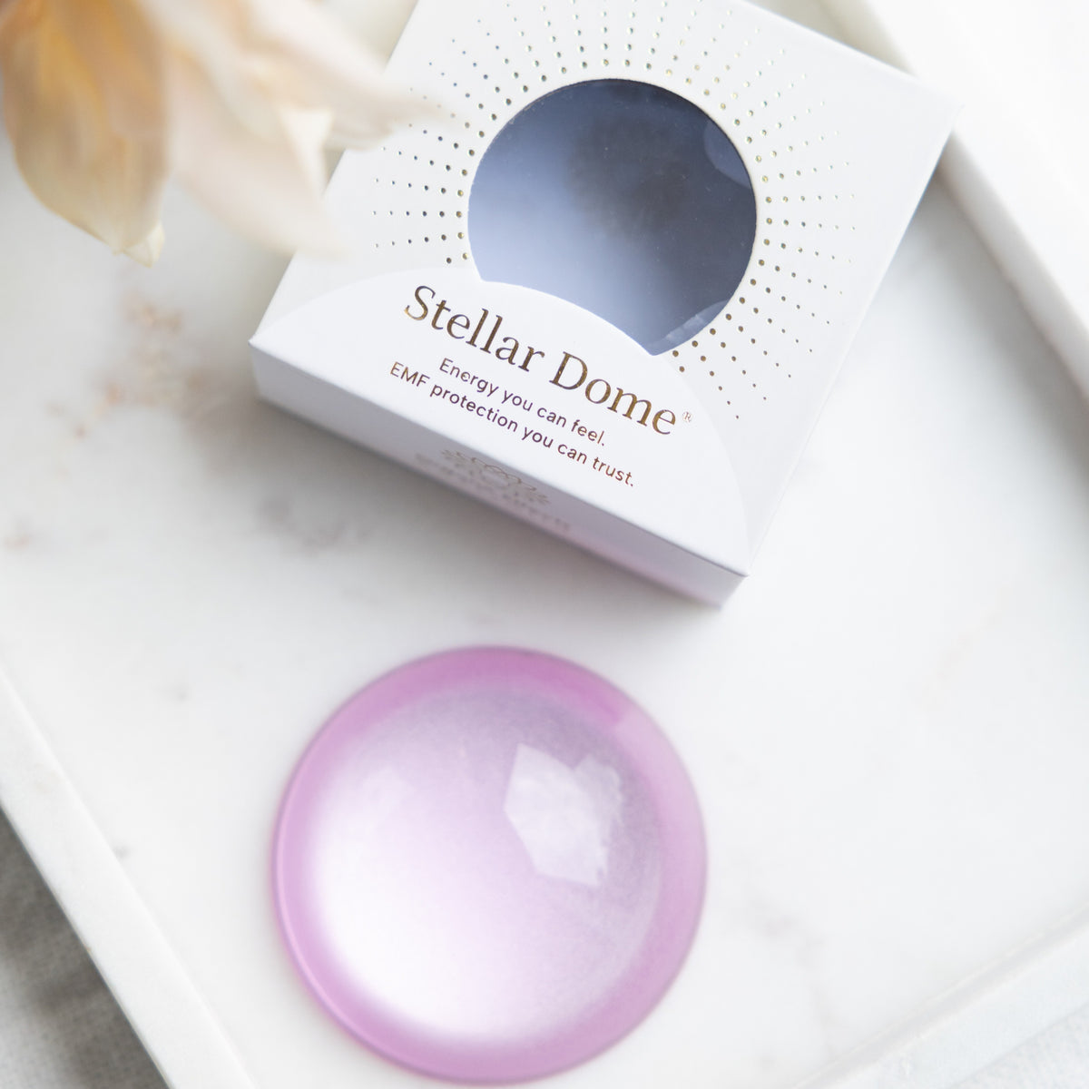 Stellar Dome®