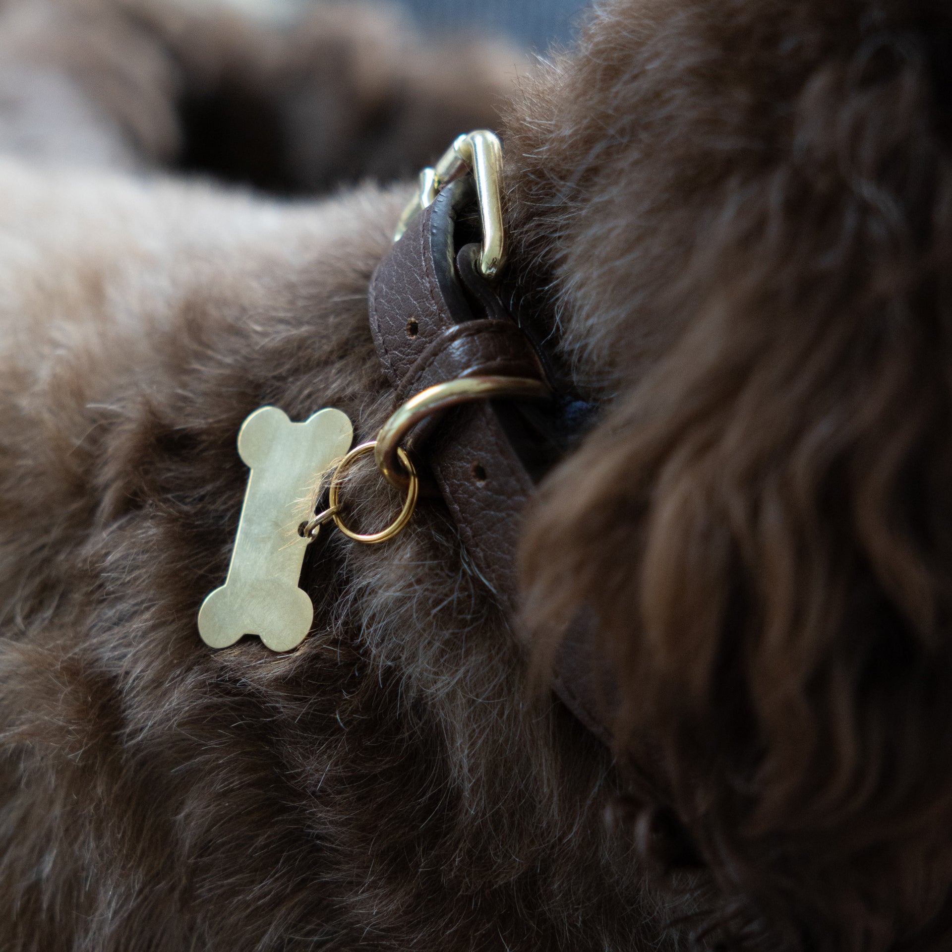 Pet Pendants